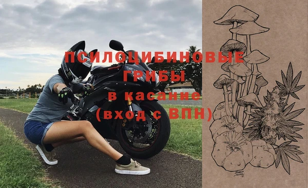 соль ск Ладушкин